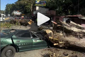 Árbol cayó sobre un vehículo en la ARC